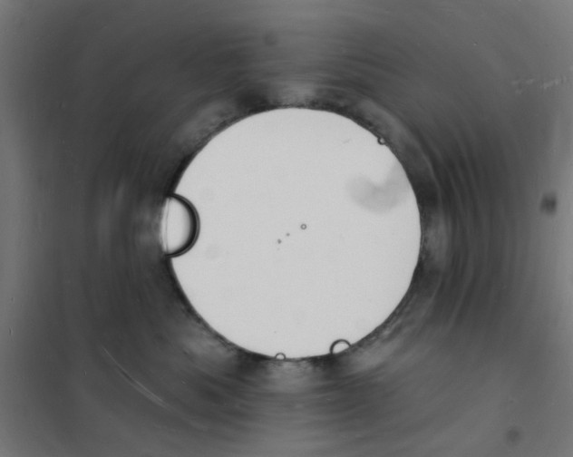 X0000101690525200808071138