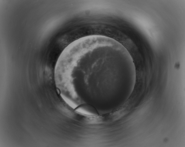 X0000101690526200808071138