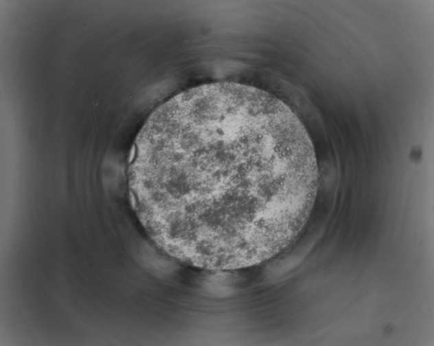 X0000101690527200808071138