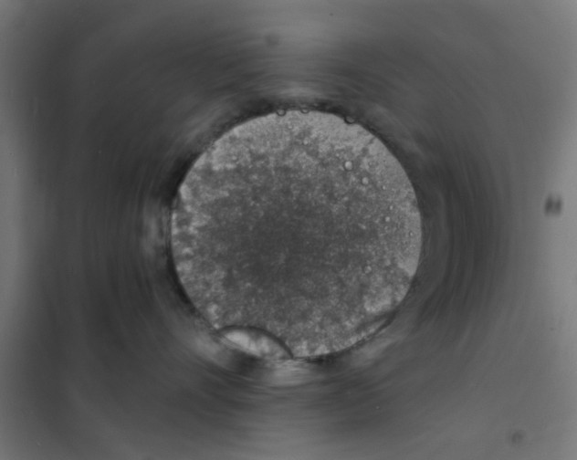 X0000101690528200808071138