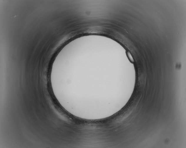 X0000101690530200808071137