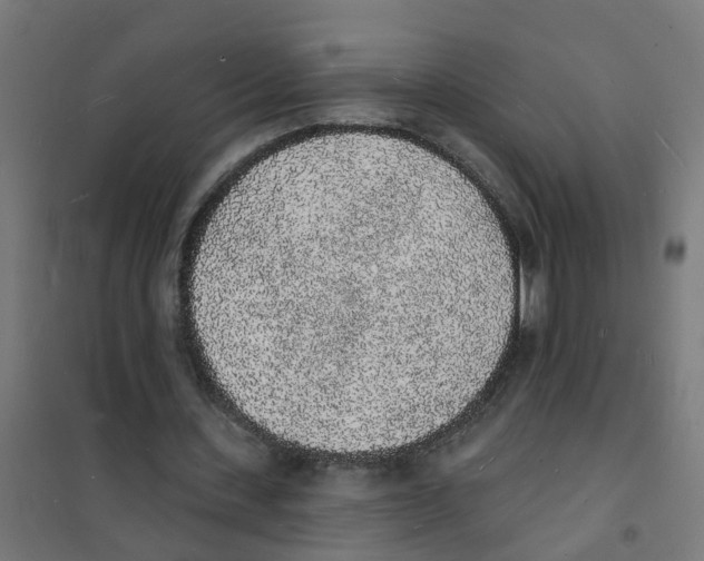 X0000101690531200808071137