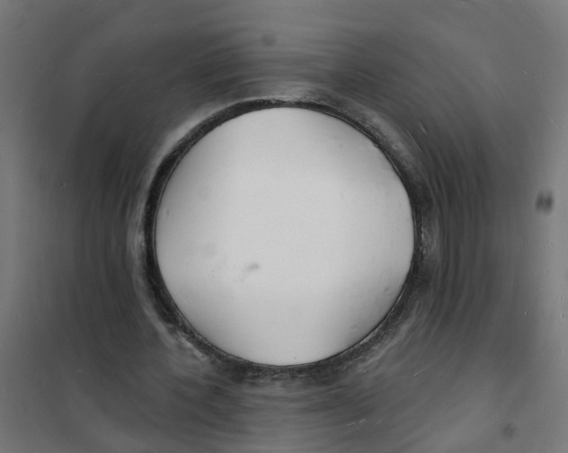 X0000101690532200808071137