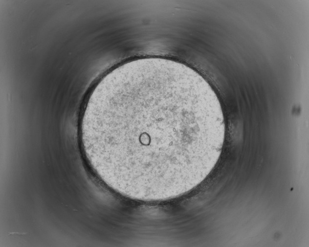 X0000101690534200808071137