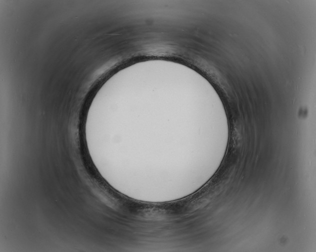 X0000101690535200808071137