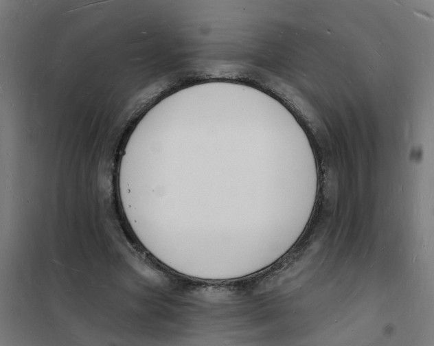 X0000101690537200808071137