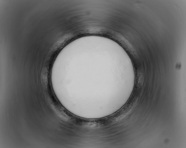 X0000101690542200808071137