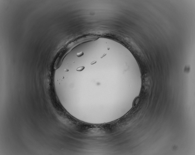 X0000101690544200808071137