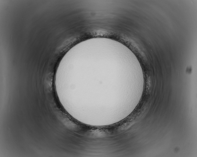 X0000101690545200808071137