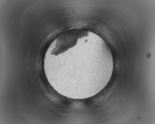 X0000101690547200808071137