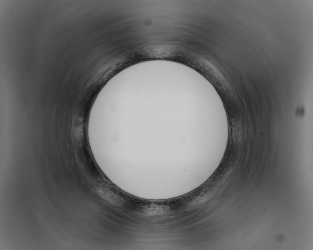 X0000101690549200808071137