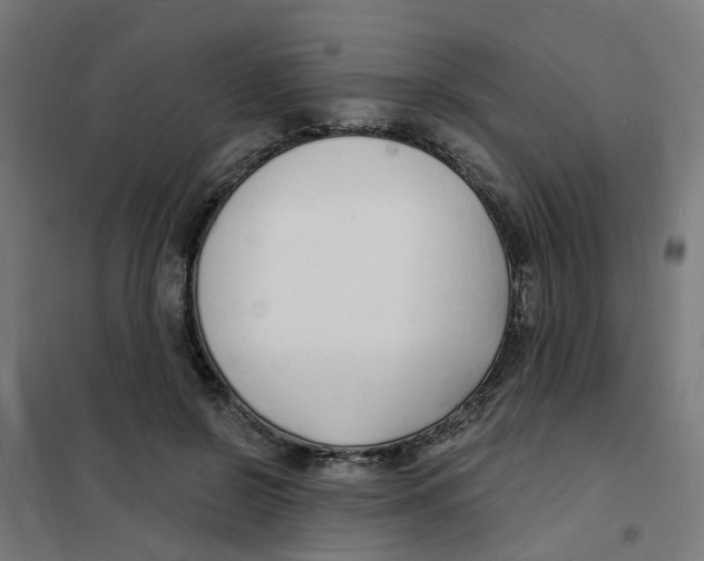 X0000101690550200808071137