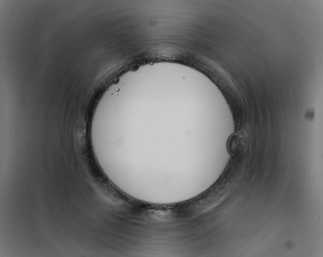 X0000101690552200808071137