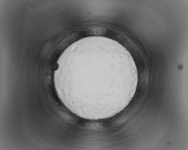 X0000101690553200808071137