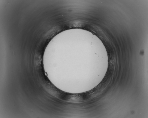 X0000101690555200808071137