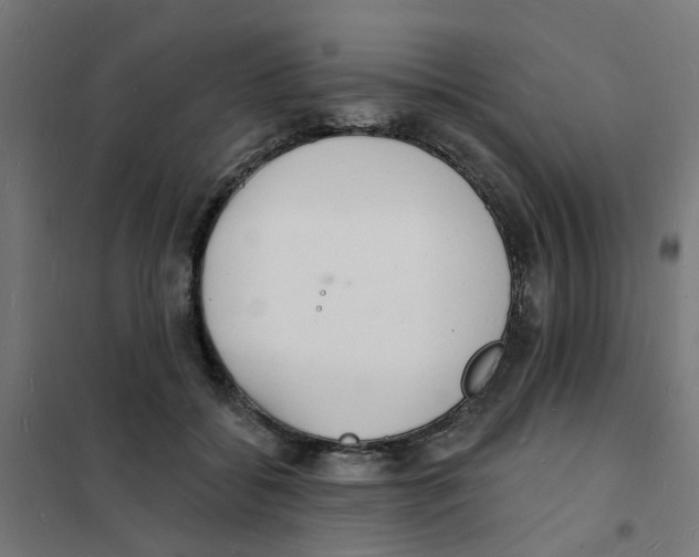 X0000101690556200808071137