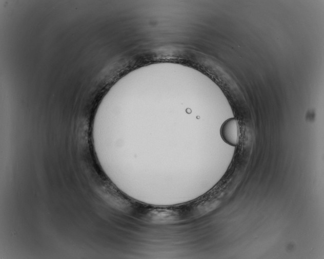 X0000101690557200808071137