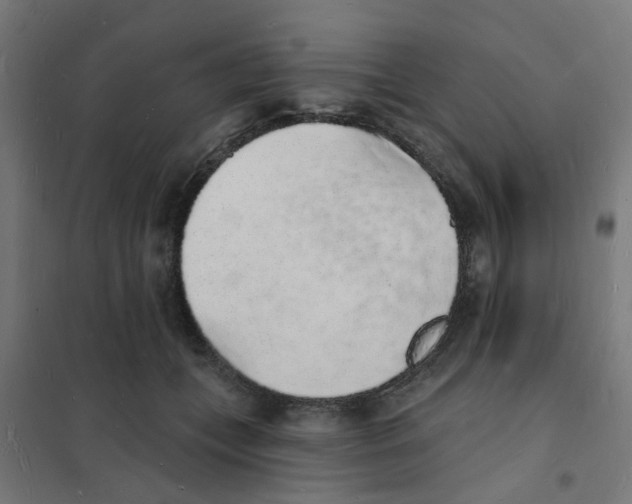 X0000101690559200808071137