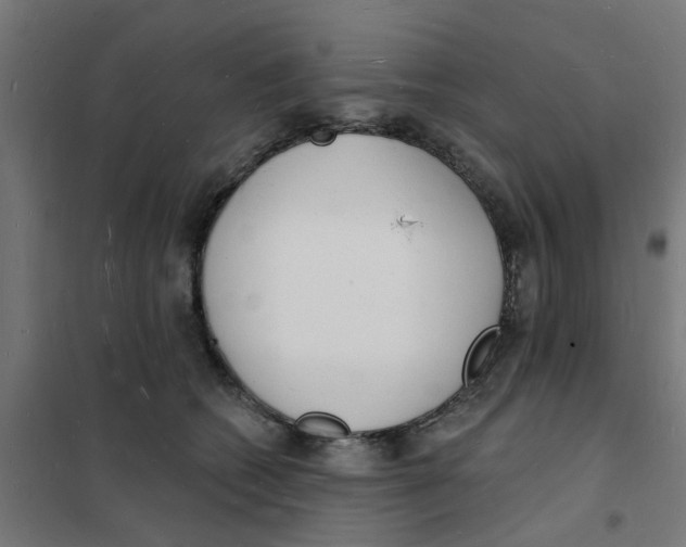 X0000101690562200808071137