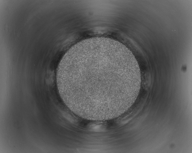 X0000101690563200808071137