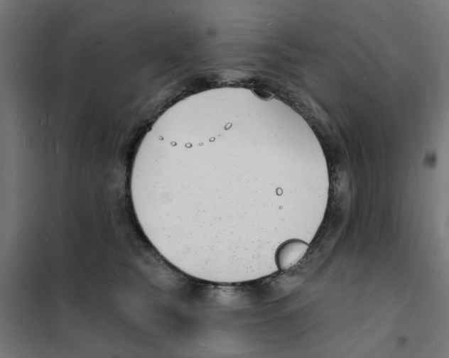 X0000101690565200808071137