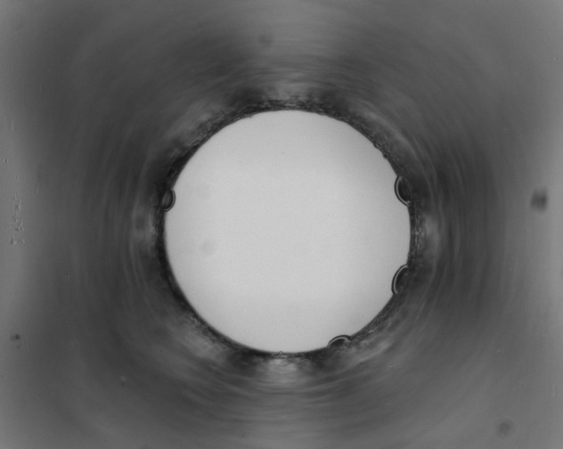 X0000101690566200808071137