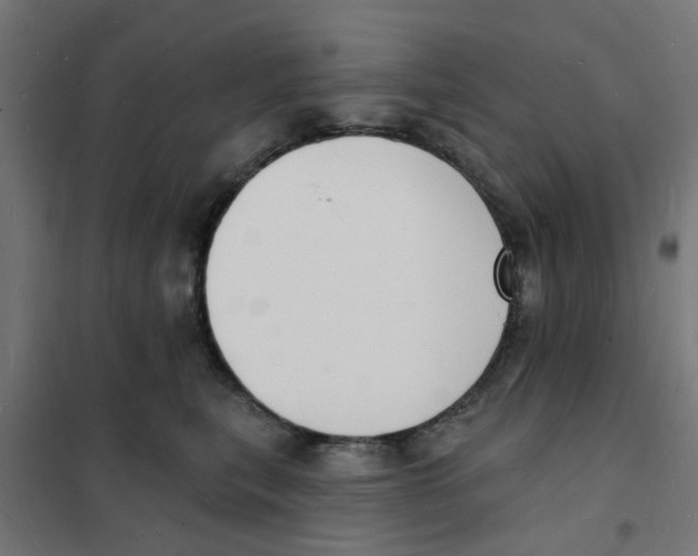 X0000101690567200808071137