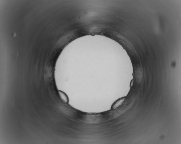 X0000101690571200808071138