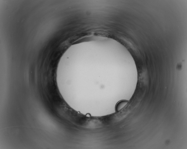 X0000101690572200808071138