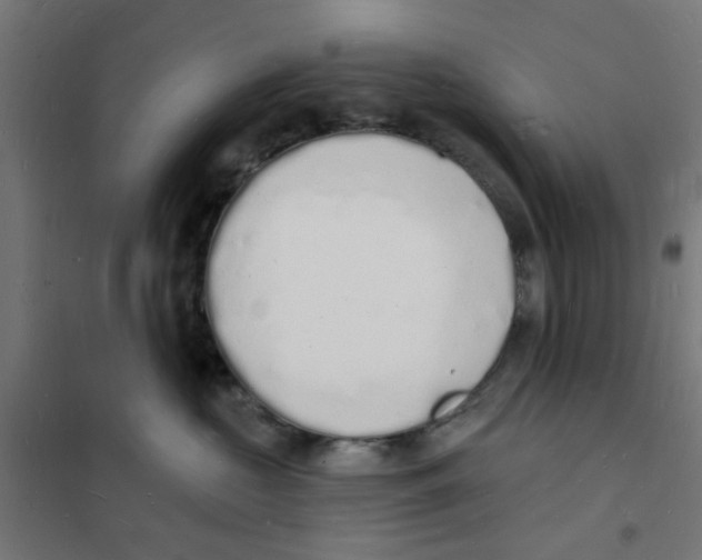 X0000101690573200808071138