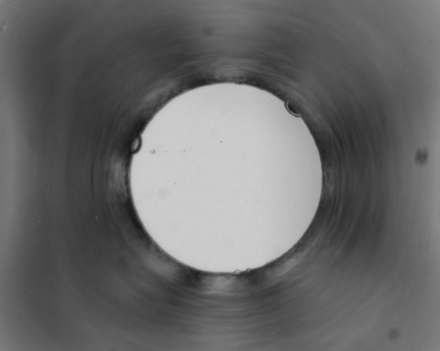 X0000101690575200808071138