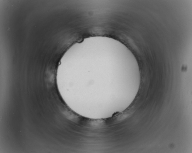 X0000101690576200808071138