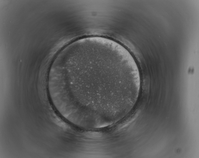 X0000101690577200808071137