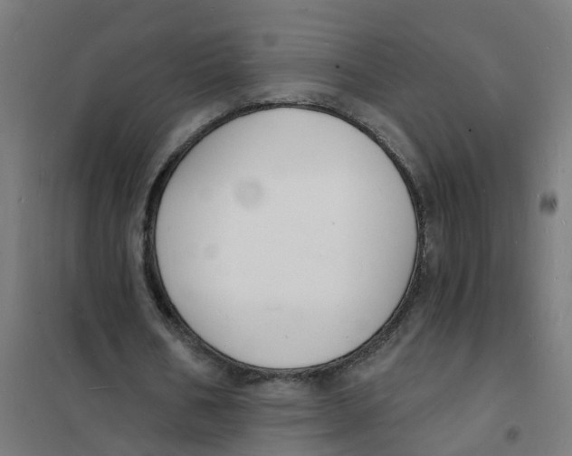 X0000101690578200808071137