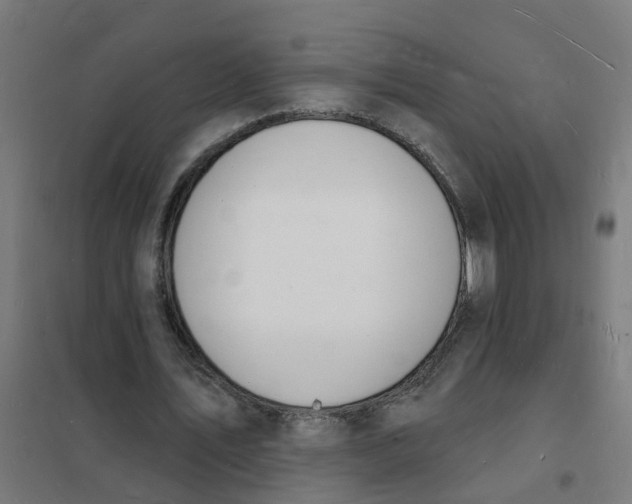 X0000101690579200808071137