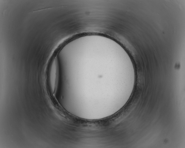 X0000101690580200808071137