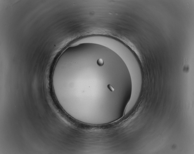 X0000101690581200808071137