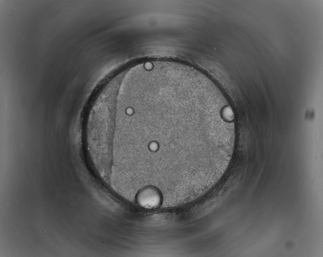 X0000101690584200808071137