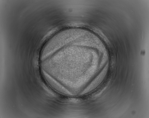 X0000101690585200808071137