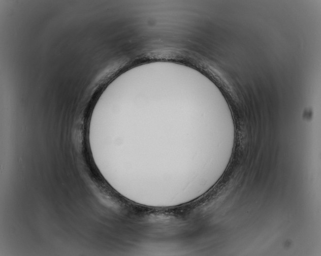 X0000101690586200808071137