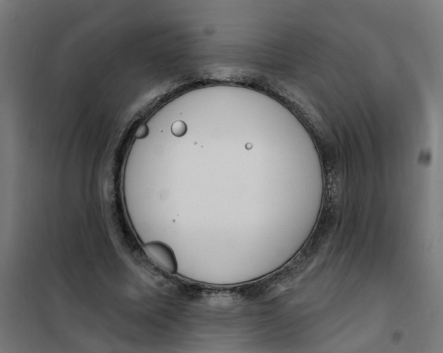 X0000101690587200808071137