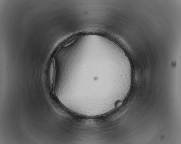 X0000101690588200808071137