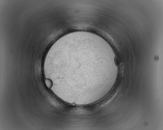 X0000101690589200808071137