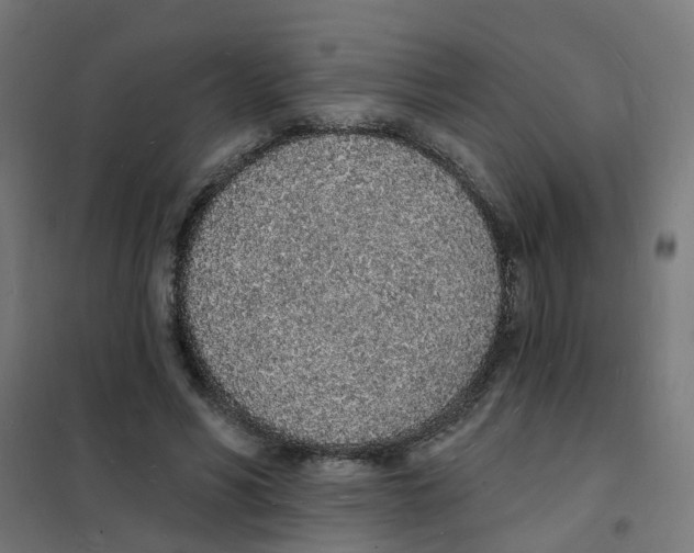 X0000101690590200808071136