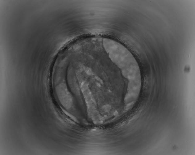 X0000101690592200808071136