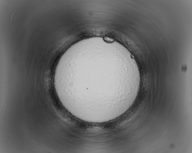 X0000101690594200808071136