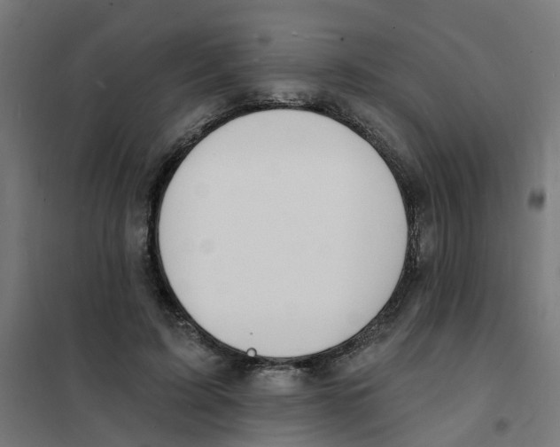 X0000101690595200808071136