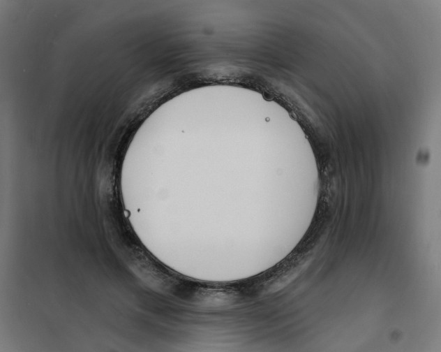 X0000101690597200808071136