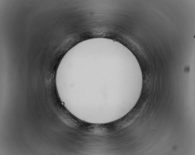 X0000101690601200808071136