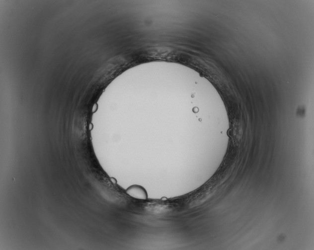 X0000101690602200808071136